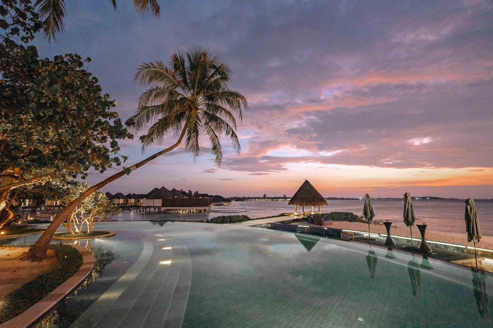 Fidji Palm Trees Near Body of Water during Sunset