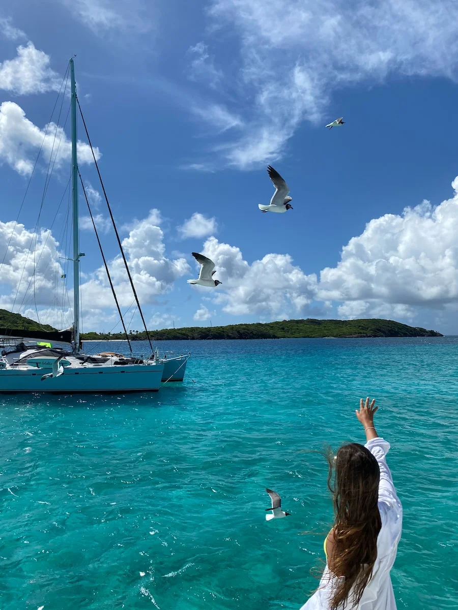 Saint-Vincent-et-les Grenadines